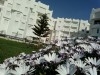 Appartement La Vague