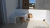 appartement rahma01