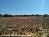 Terrain Basma