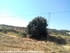 Terrain Basma