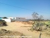 Terrain Basma