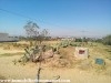 Terrain Basma