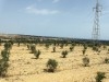 Terrain de 9 Ha à Nabeul Somaa