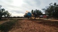Vente Terrain El Yasmine 