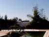Villa MARAM - Hammamet