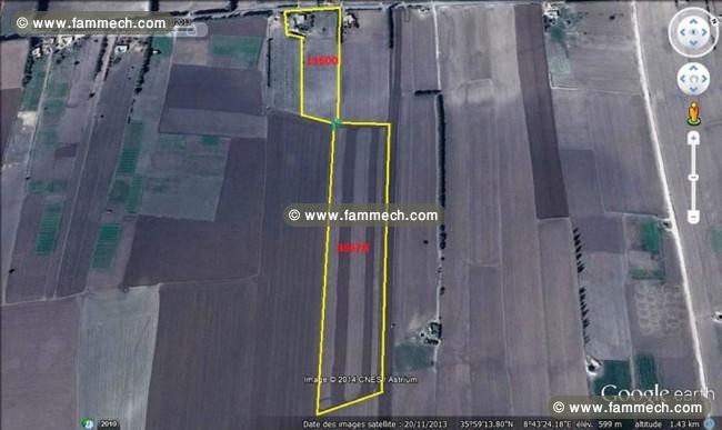  2 terrains agricoles à Dahmani