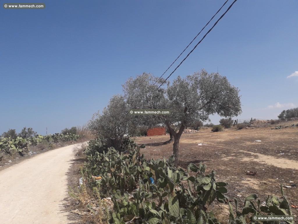 Terrain de 200 m2 a Chott Meriem a 72 mdt