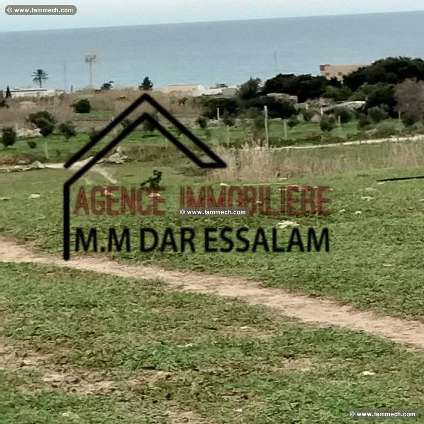  ferme près de la mer