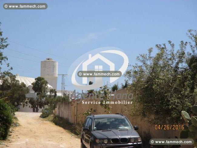 Terrain sidi messaoud mahdia.