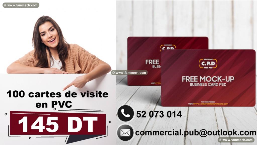 100 cartes de visite en PVC et plastique