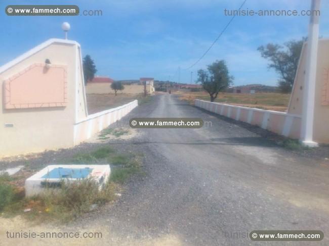 1060 a cote AFH oued ellil