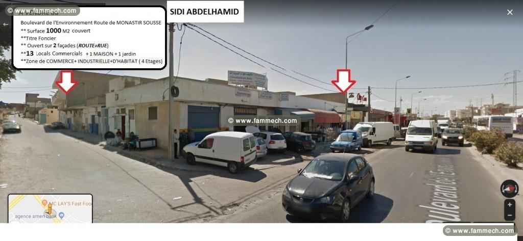 13 LOCALS COMMERCIALS independants 1000M2 A VENDRE