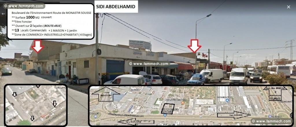 13 LOCALS COMMERCIALS independants 1000M2 A VENDRE