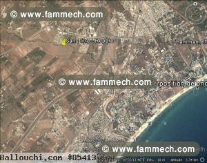 2 HECTAR HAMMAMET SUD a BORD DU ROUTE COTE MER