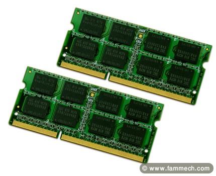 20 Barette portable DDR2-3