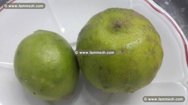 20 tonnes de citron vert