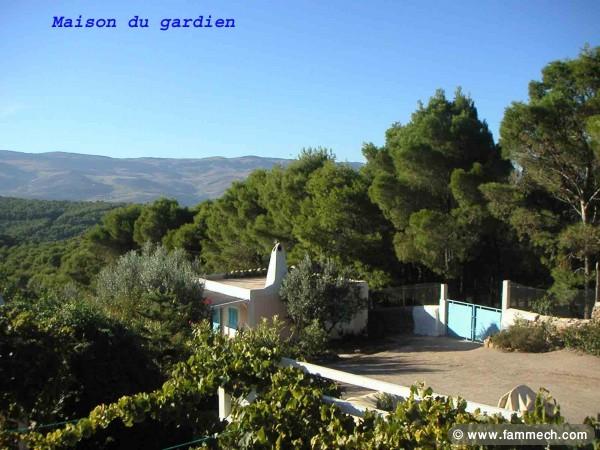 vente maison au coeur du montagne