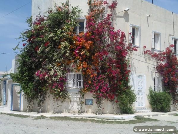 maison à louer à hergla pour vacances