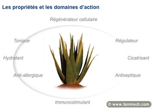 investissement minime dans le bien etre et la sant