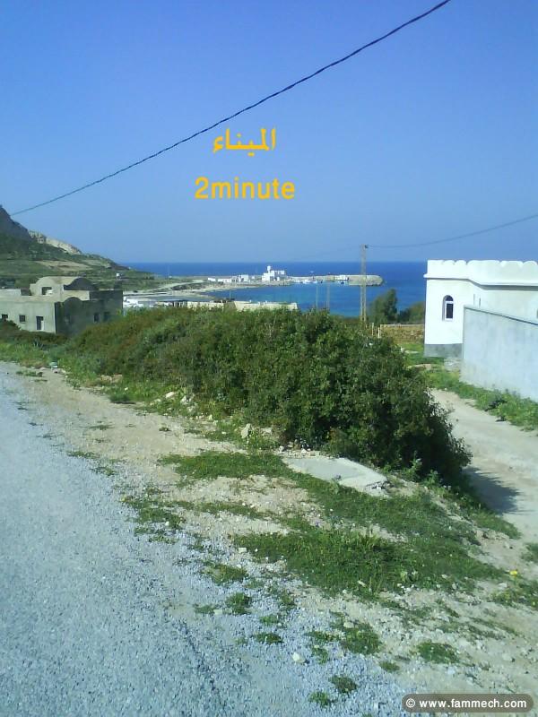 terrain a cap zebibe