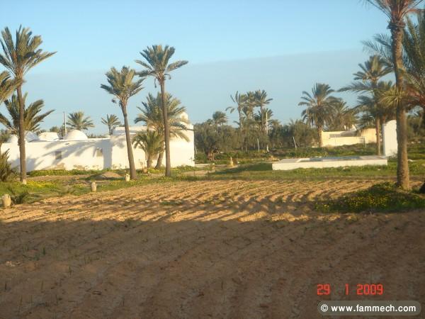 Djerba Houch rénové avec piscine