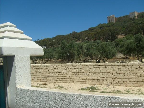 vacances dans le paradis kelibia