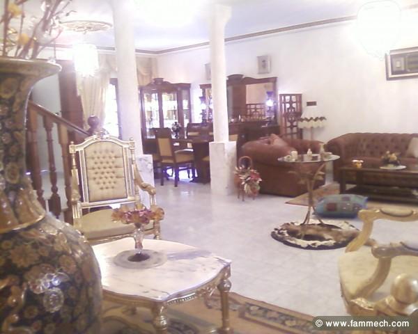 villa a bizerte a vendre