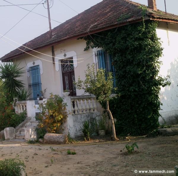 terrain et maision a Khlédia  