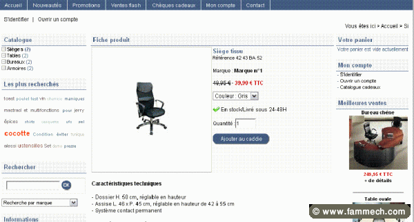 Site web de vente en Ligne 
