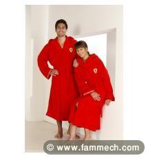 destockage produits derives ferrari