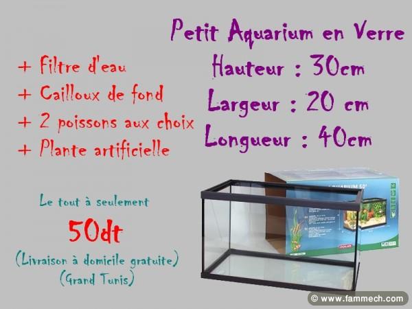 50dt aquarium +poissons+accesoires