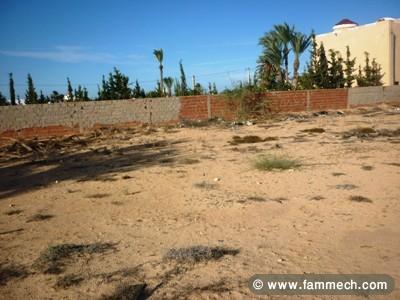 Terrain dar Djerba
