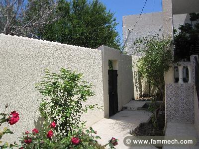 grand villa de deux maisons a vendre a hammam-lif