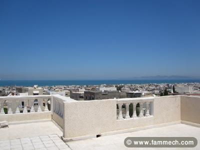 grand villa de deux maisons a vendre a hammam-lif