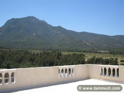 grand villa de deux maisons a vendre a hammam-lif