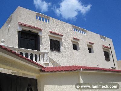 grand villa de deux maisons a vendre a hammam-lif