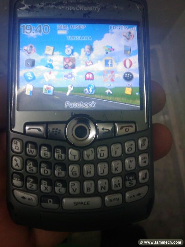 black bery curve 8310 a vendre  