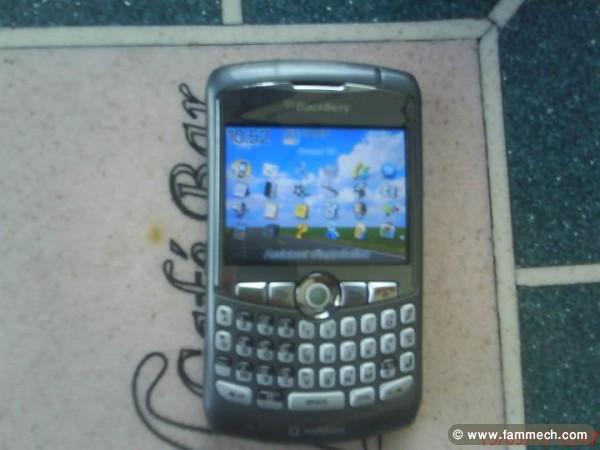 blackberry