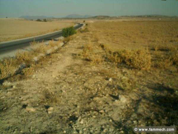 terrain agricole a el fahs