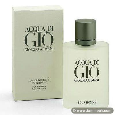 parfum acqua di gio armani 100 ml