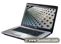 pc portable Toshiba L450D 