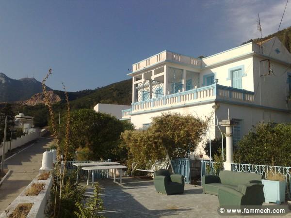 vente villa de maître,3 étages,jardin,garage.