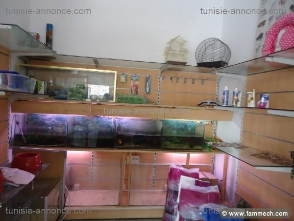 Vente Rayonnage magasin