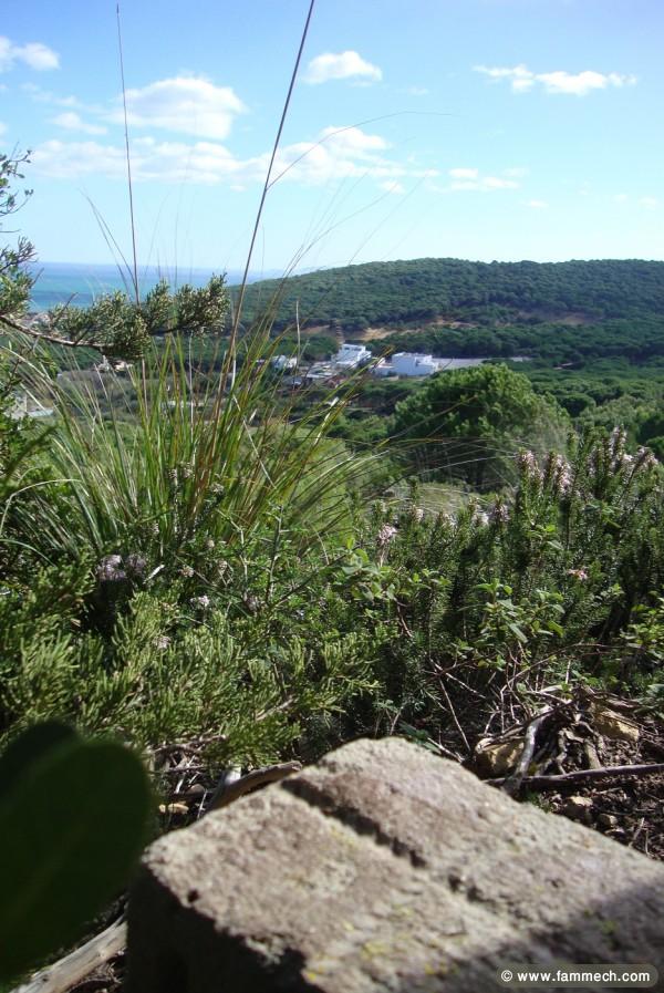 terrain bizerte les grottes corniche