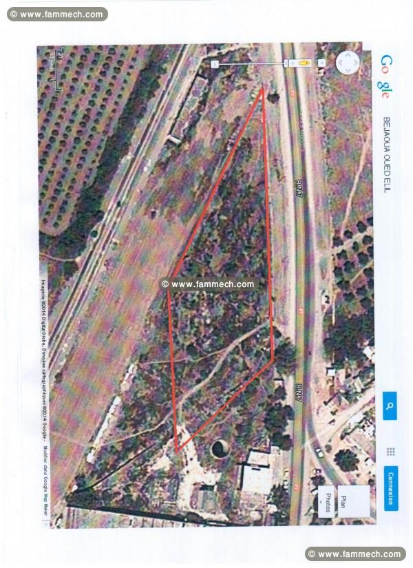Terrain constructible à Béjaoua