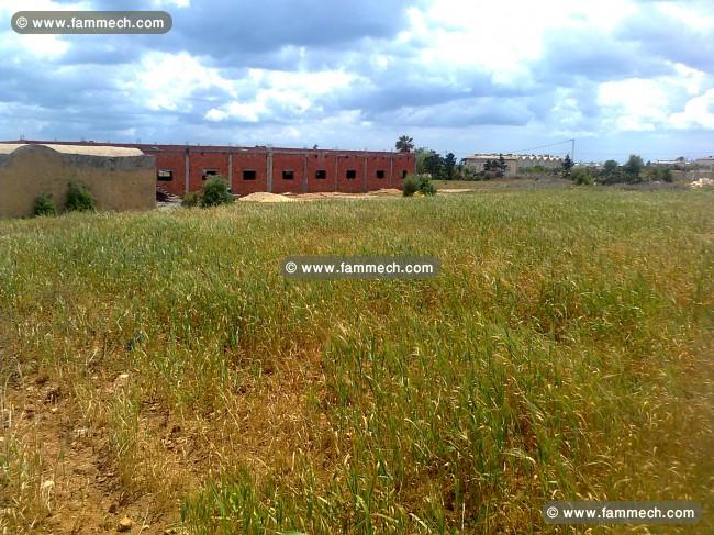 Terrain agricole idéal a tazarka