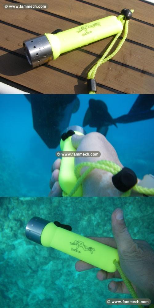 Lampe LED de sous la mer et chasse dans la foret