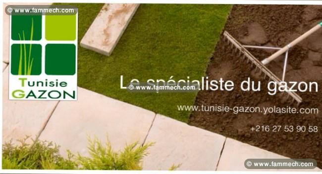 Gazon Paspalum en Tunisie