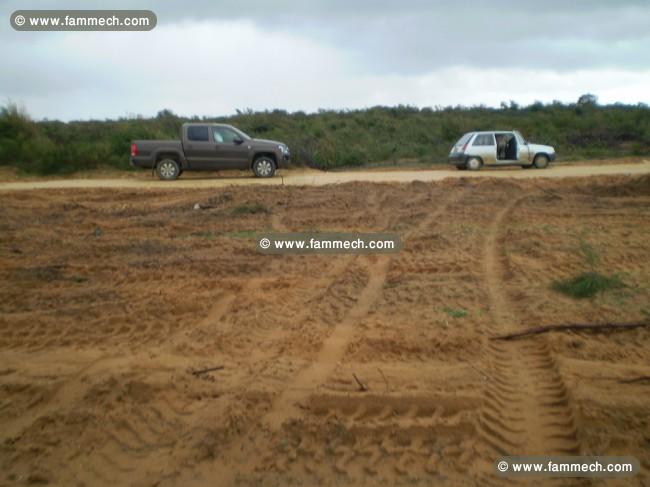 FORCA Terrain 10 hectares a l indivision SEULEMENT