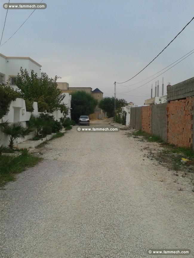 TERRAIN TAYARA BARCHA